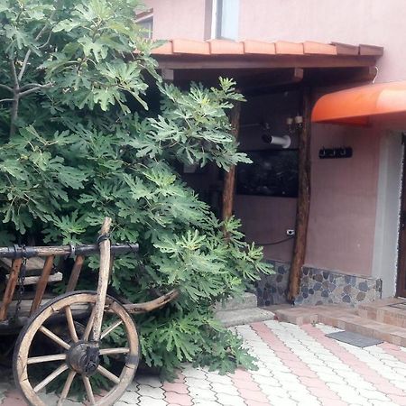 Arad Apartment - Airport Area Exterior photo